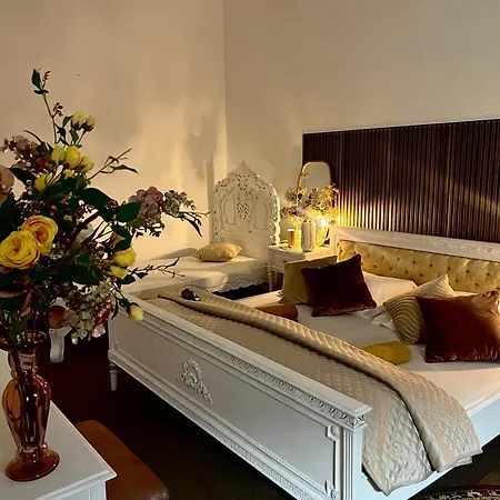 Apartment Csaky Palace 11 *